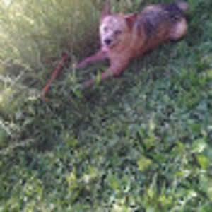 Meet your Posher, Adam